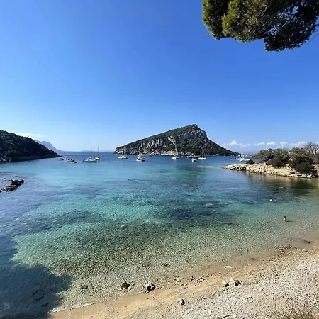 “levante” A 300m Dalla *