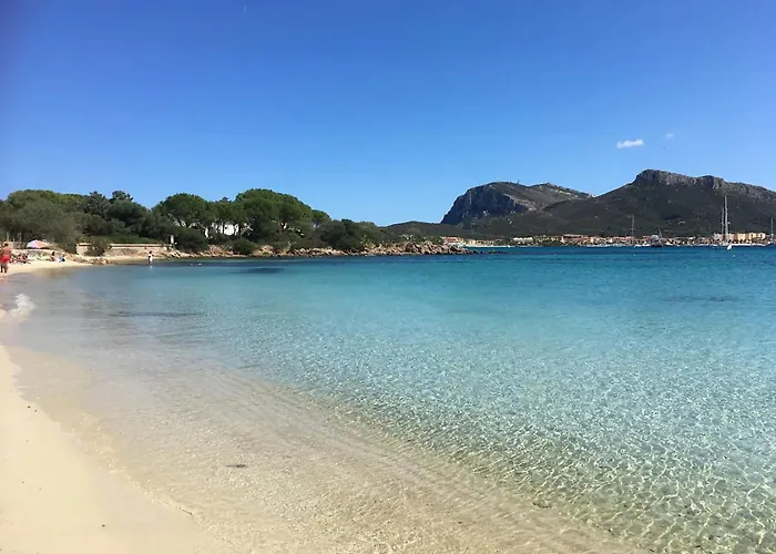 Levante A 300m Dalla * Golfo Aranci